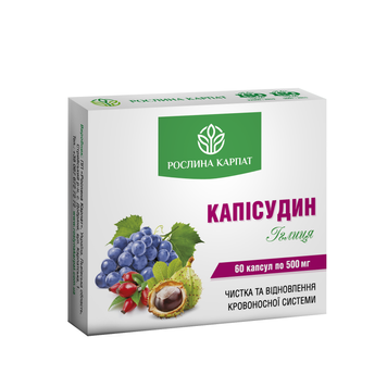 Капісудин 60 кап. 000000116 фото